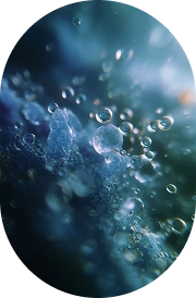 Vitamin B7 (D-Biotin)
