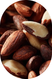MONK FRUIT