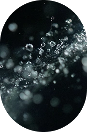 Vitamin B3 (Niacinamide)