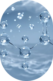 LYSINE